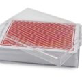 Plastic Card Box With Lid Holder Angle View Shown With Deck Of Cards Red